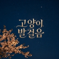 벽(Wall) 고양이 발걸음 앨범 자켓