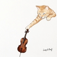 Loop&Roof <I'll Pick up My Cello> 자켓