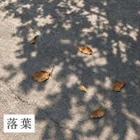 YOOZ <Fallin' Leaves> 자켓